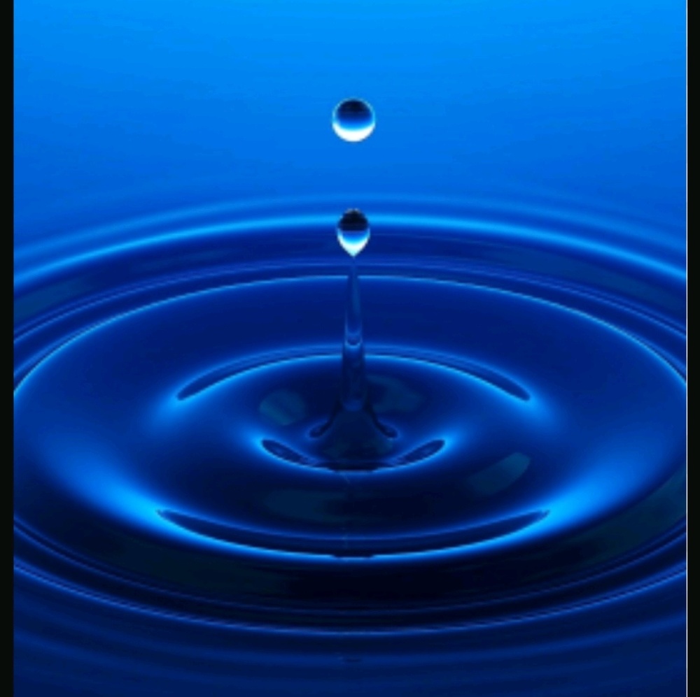 Meet your Posher, Coby